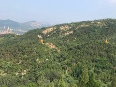 -龙口南山旅游景区