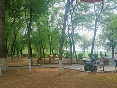 -丁香湖公园