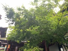 -香积寺