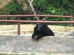 -清迈夜间动物园