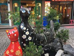 -猫咪博物馆(顶澳仔猫街店)