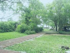 android_upload_pic-湖光岩风景区