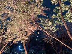 -西北湖绿化广场