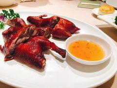 -金苑海鲜酒家(来魅力店)