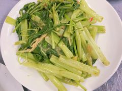 -彩虹村