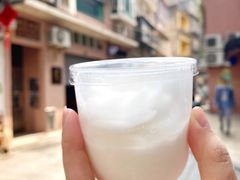 椰子雪糕-洪馨椰子