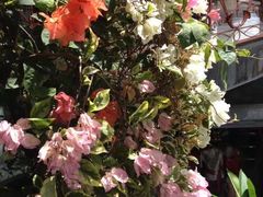 -Warung Babi Guling Ibu Oka 3