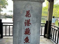 -西湖游船