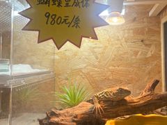 -姑苏二十四集(iD PARK 歌林公园店)