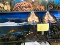 -蚝专家(北滘店)