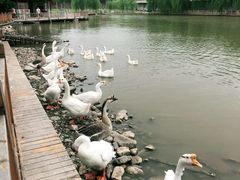 -河北村民俗体验园