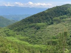 -重庆云阳龙缸景区