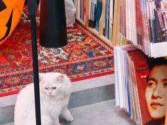 -独音唱片 Indie Music