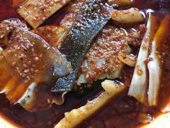 -高记什邡肖麻辣(成都店)