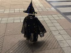 -金宝贝早教(金地·喜悦荟oopcity店)