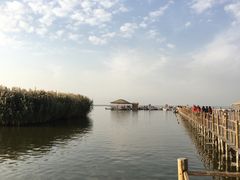 -乌梁素海景区