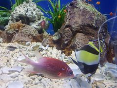 -福州罗源湾海洋世界旅游区