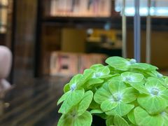 -行者书屋大堂吧 ·下午茶(南京圣和府邸酒店)