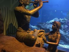 -暹罗海洋世界