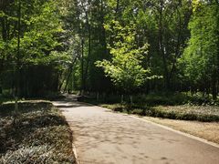 -桤木河湿地公园