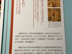 -国际非物质文化遗产博览园