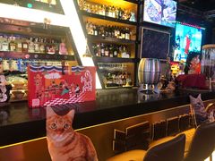 -Famous肥猫墨西哥音乐餐吧(五棵松华熙LIVE店)