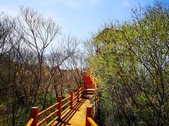 -塞罕坝国家级自然保护区