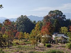 -塔川景区