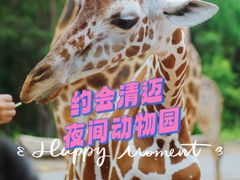 -清迈夜间动物园