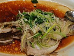 -沙龙酒家