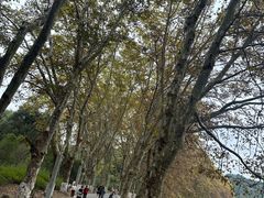 -花溪公园