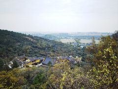 -树山生态村