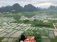 -会仙湿地
