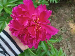 -沈阳植物园