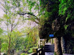 -天河潭旅游度假区