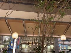 -桂满陇·海市蜃楼·黑金(国金店)