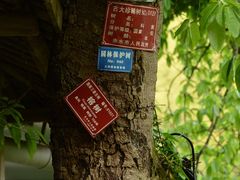-赤水丹霞旅游区·大瀑布