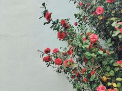 -费孝通江村纪念馆