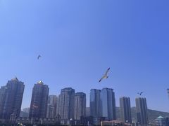 -星海广场