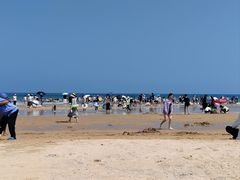 -日照海滨国家森林公园