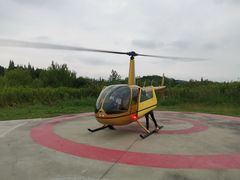 -上海月湖雕塑公园