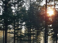 -塞罕坝国家级自然保护区