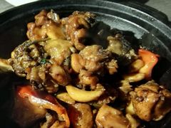 -青叶202都市餐厅(迪诺水镇店)