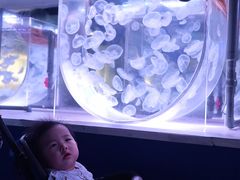 -常州海昌海洋探索馆