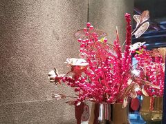 -芙蓉堂(武汉天地店)