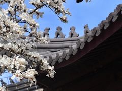 -灵谷景区