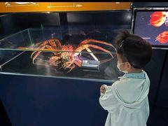 -同济大学四平路校区深海探索馆