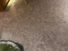 -山海蟹庐·海鲜糟粕醋火锅(慈溪店)