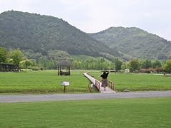 -径山花海
