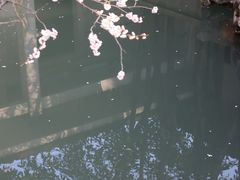 -无锡梅园公园